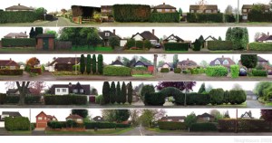 4. neighbours-low res